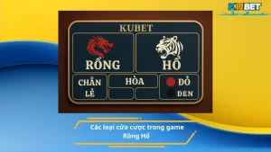 Các loại cửa cược trong game Rồng Hổ