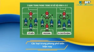 Các loại trung phong phổ biến hiện nay
